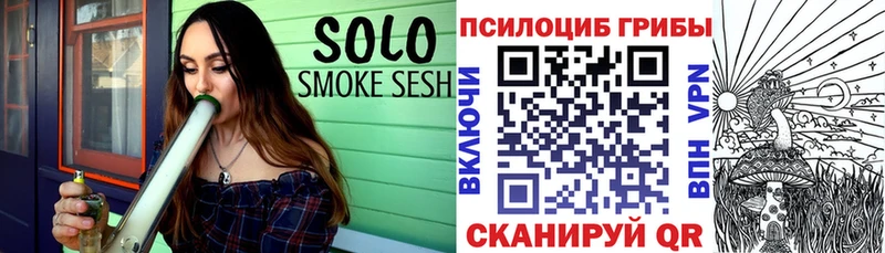 где купить наркотик  OMG ТОР  Галлюциногенные грибы Psilocybe  Белокуриха 