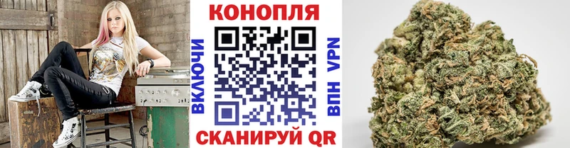 Бошки марихуана индика  как найти наркотики  Белокуриха 